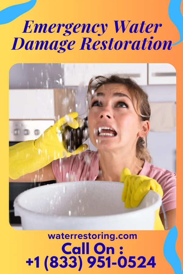 Emergency Water Damage Restoration in Royal Pines, NC