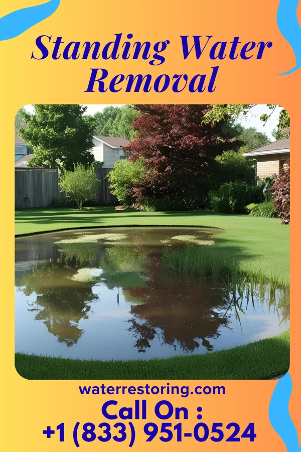 Standing Water Removal in Royal Pines, NC